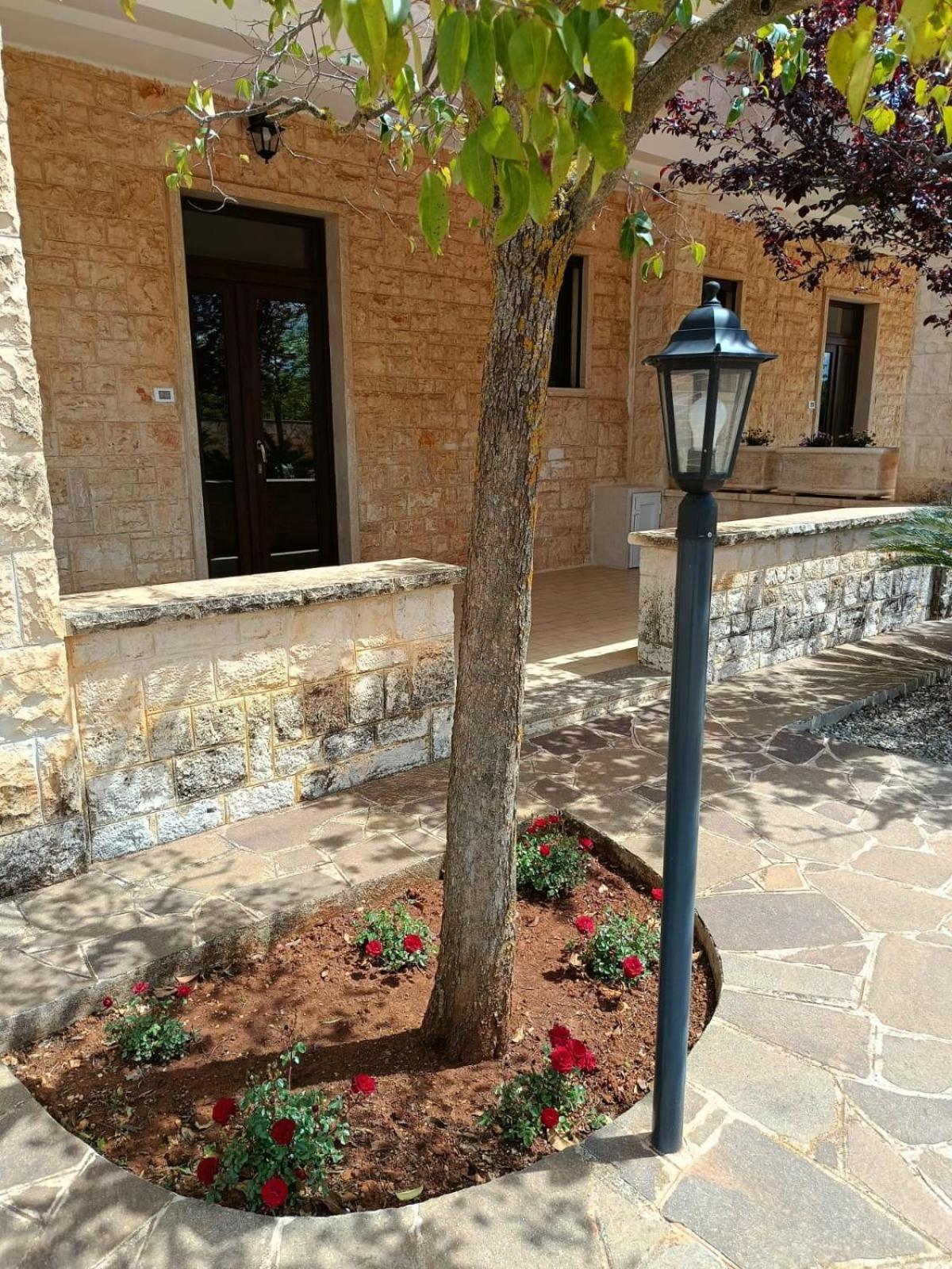 Villa Lisi Selva Di Fasano Exteriér fotografie