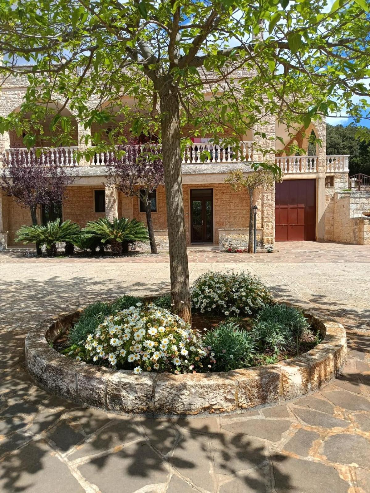 Villa Lisi Selva Di Fasano Exteriér fotografie